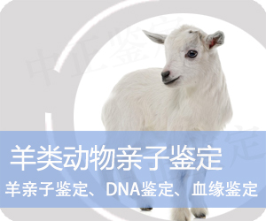 杭州羊类动物亲子鉴定